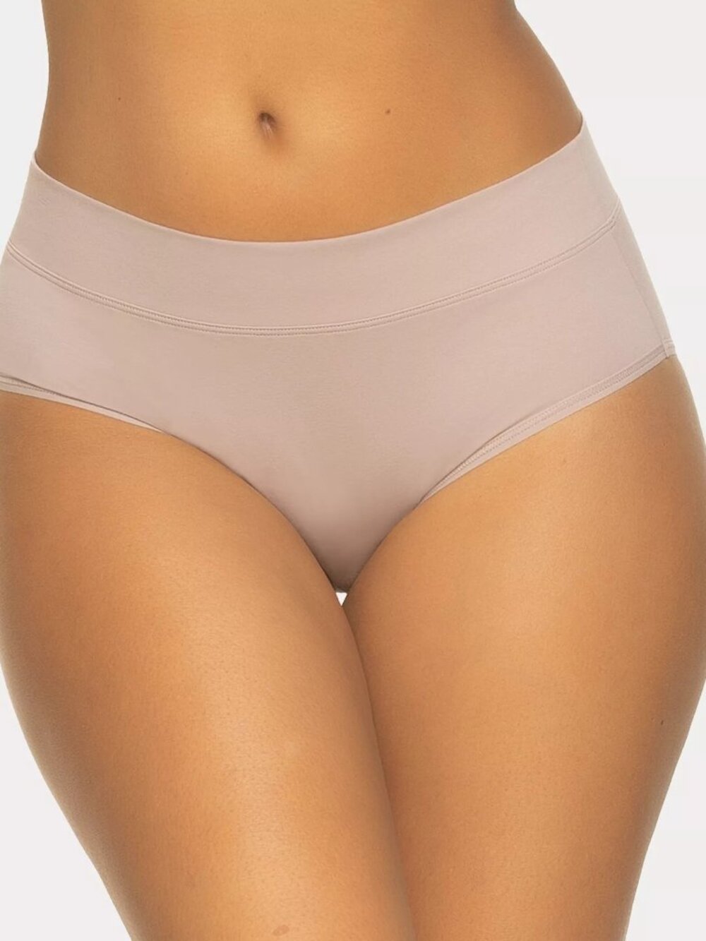 #2390 Pima Cotton Hipster 4-Pack, Classic